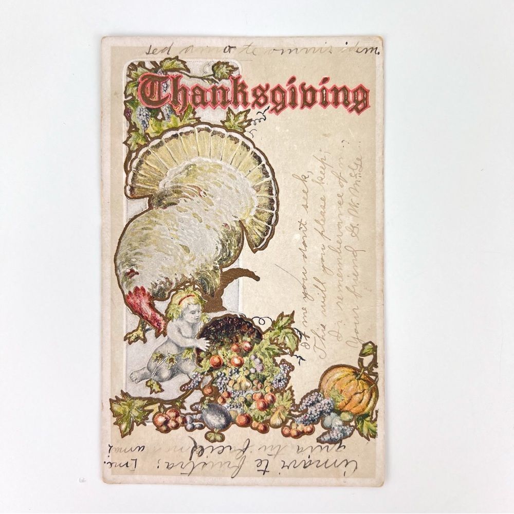 Vintage 1900s THANKSGIVING Postcard White Turkey / Baby with Horn O' Plenty